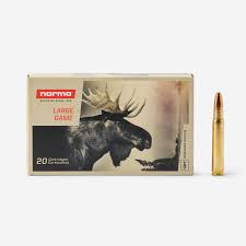 BALLE NORMA 9.3X62 PLASTIC POINT 285 GR