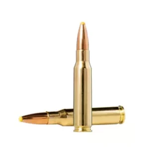 balle NORMA PPDC CAL. 7 MM REM MAG 170GR 11 G