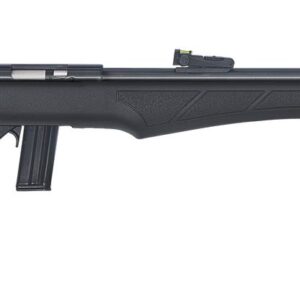 CARABINE ROSSI 8117 17 HMR